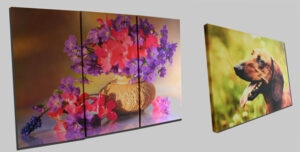 (Копія)Кроха жираф. Сток